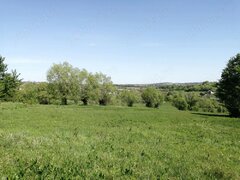 Cacica, Suceava